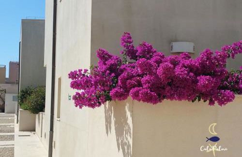 Cala Palme Lampedusa - Foto 19