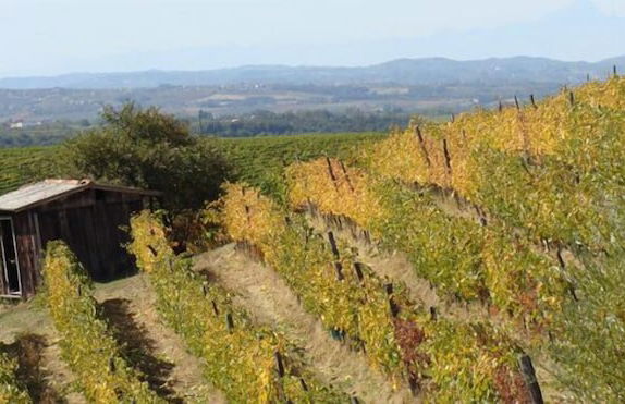 Agriturismo Cascina degli Ulivi - Foto 11