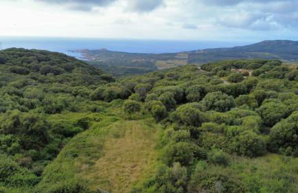 Isola Rossa La Paduledda Appartamento vista mare Il Mirto - Foto 10