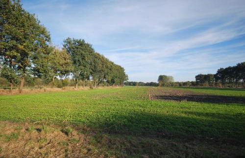 Ferienwohnung Am Moor, 35629 - Foto 9