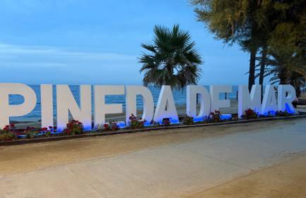 The White Lilies - Photo 22