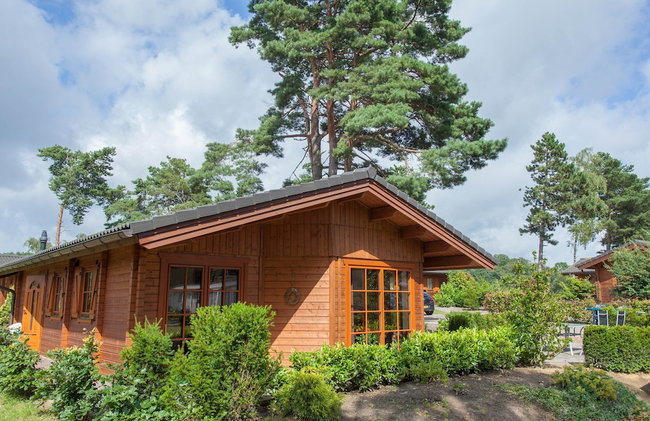 Comfortable Wooden Chalet in the Achterhoek - Foto 28