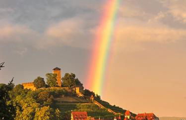 Burgblick Stube - Apartment für bis zu 4 Personen - Haustiere willkommen - mit Einbauküche - Fahrradparkplatz etc - Foto 36