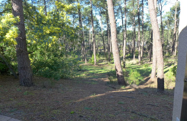 Les Palombes - Foto 23