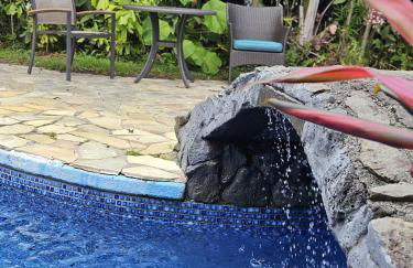 Honomu Place - Foto 41