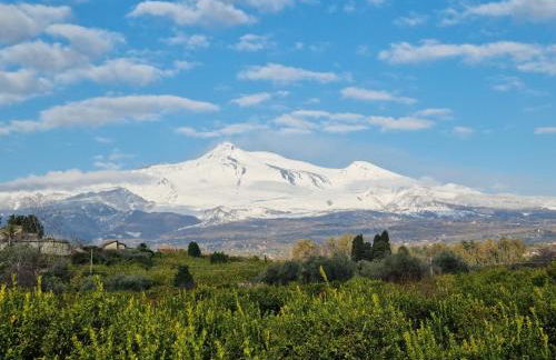 Le Dimore del Corso Acireale - Sicily Stay, fra Catania, Taormina, il Mare e l'Etna - Foto 10