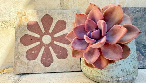 Azalo Country House - Foto 3