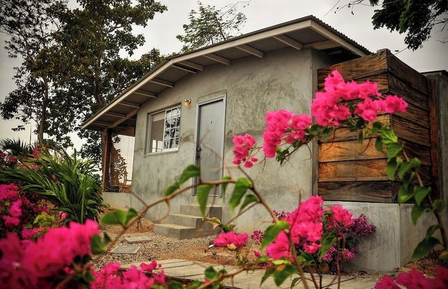 La Maracuyá - Photo 50