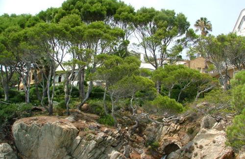 Cap Sa Sal Navy, Begur, Girona - Foto 39