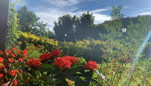 Vale das Estrelas - vale das videiras - araras - Photo 5