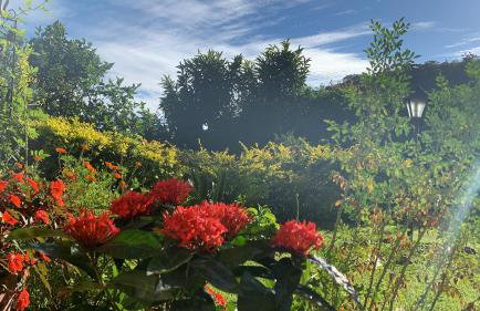 Vale das Estrelas - vale das videiras - araras - Foto 5