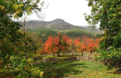 Casa El Herragu - Photo 20