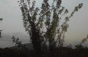 Panos and Chrisas House - Foto 36