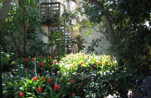 The Treehouse-Short Term available message Jo-An - Foto 1