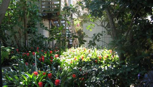 The Treehouse-Short Term available message Jo-An - Foto 1, Garden