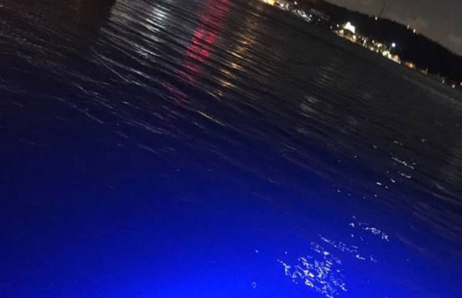 Ortaköy Grand Appartement 3and1 - Foto 40