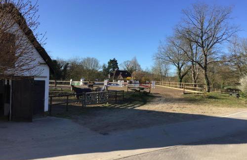 Rural idyll under thatched roof - Foto 3