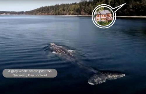 Waterfront Retreat with Fireplace, Hot Tub & Sauna - Foto 31