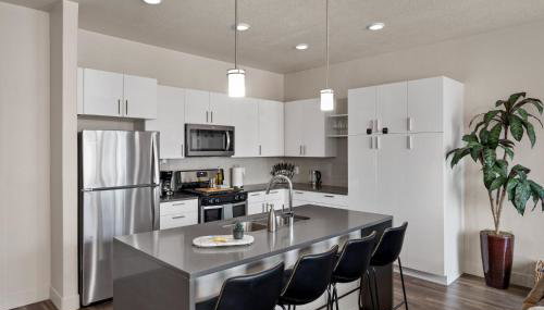 Deluxe 2BR Convention Center Gym, Pool, Htub, Pkg - Foto 2, stove, dishwasher, toaster