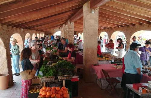 Penthouse in Jesus Pobre - Photo 25