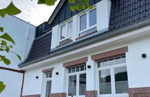 MAINTERRASSE Boardinghouse am Fluss klimatisierte Apartments mit 80qm Terrasse - Foto 42