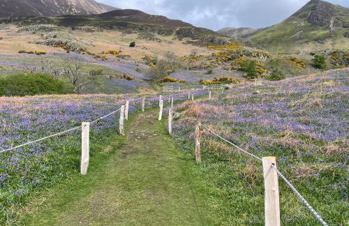 Robinsons Cottage, central and quiet - Foto 35