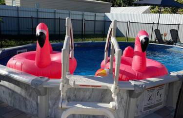 Flamingo Paradise - Foto 64