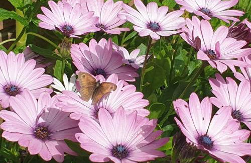 Island Retreat with HotTub - Foto 21