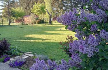 Apartman Bepo - Photo 50