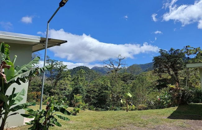 Selvática del Toro - Foto 49