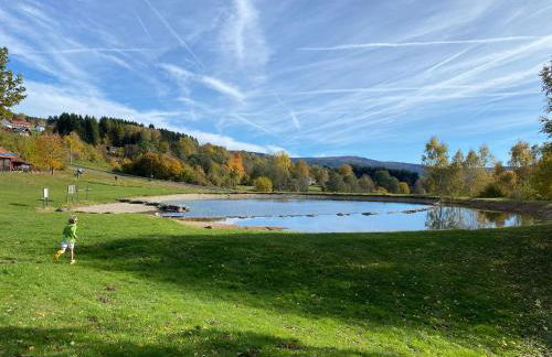 Ferienwohnung Schönblick inklusive Hallenbad, Sauna, Außenpool & Fitnessstudio, familienfreundlich ausgestattet - Foto 43