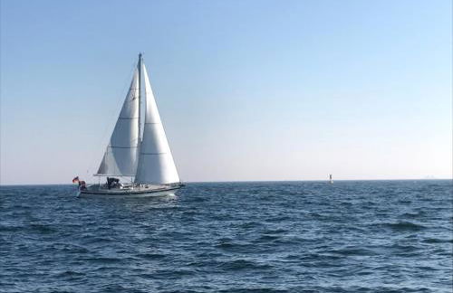 Ferienhaus Seemöwe - Foto 36