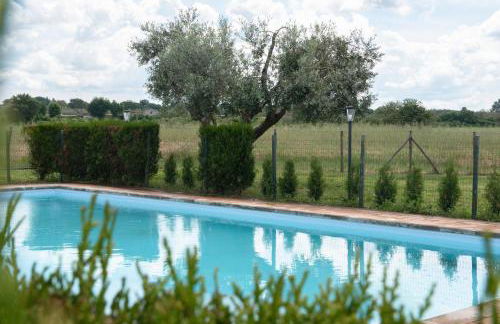 Agriturismo La Vita è Bella - Foto 68