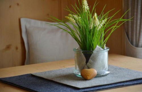 Appartements Rienzner - Foto 8