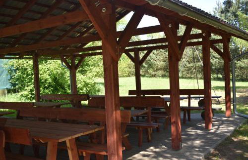 Newland Wójtowicz - Foto 54