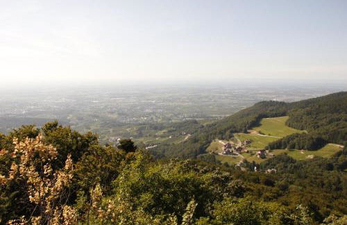 Ferienwohnung Hänsel und Gretel - Foto 39