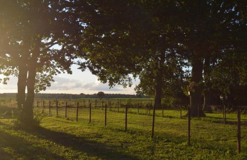 Ferienhaus Grafenland - Foto 16