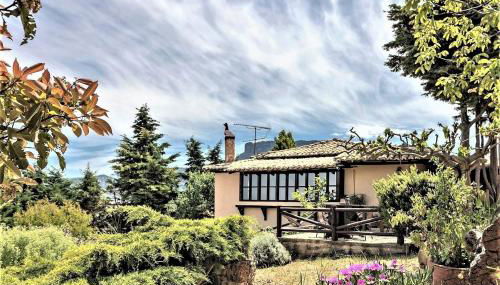 Ampelos Estate - Photo 3, Garden, Garden view