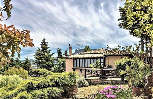 Ampelos Estate - Foto 3