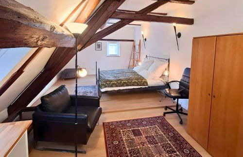 Ferienwohnungen Bernsdorfer Straße Chemnitz - zentrumsnah, teilweise mit Balkon oder Terrasse, große Parkanlage - ideal für Familien, Paare und Geschäftsleute - Foto 2