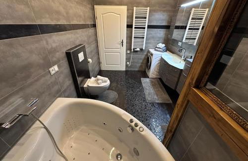 Ferienhaus MILA - Pool, Sauna, Whirlwanne, 5000qm Privatgelände mit Bolzplatz - Foto 8