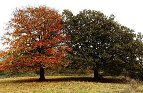 Bluebell House 5 Star Luxury 4 Bdrms and hot tub - Foto 36