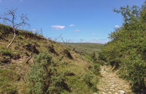 The Bakehouse - Foto 13