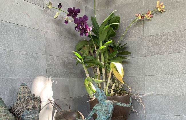 PeaceTree Homes - Photo 24