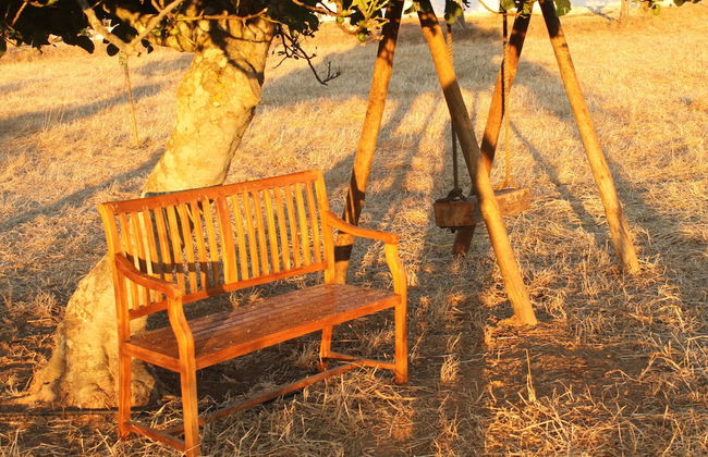 Quinta da Soneca Turismo Rural - Foto 39