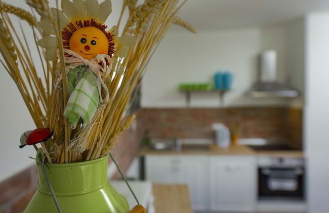 Apartments Rikli Rodine near Bled - Foto 57