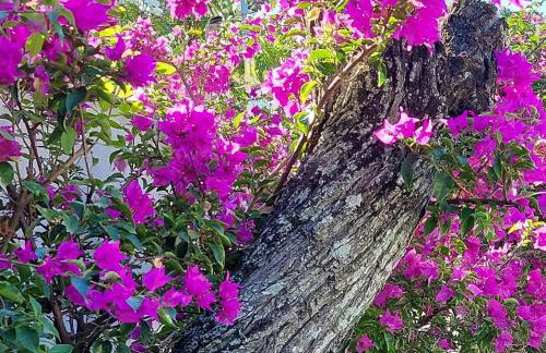 Casa em Condomínio de Alto Padrão - Foto 28