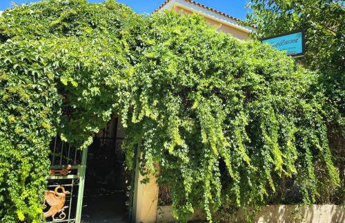 Skala Eresos Paradise Studios - Foto 3