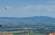 Linda's Holiday Home - Foto 23