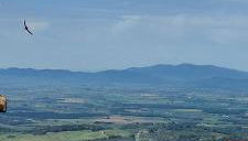 Linda's Holiday Home - Foto 1